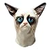LEKA NEIL Halloween Mask Animal Mask Cat Mask Deluxe Novelty Halloween Costume Party Latex Mask Cat Head Mask (Blue)