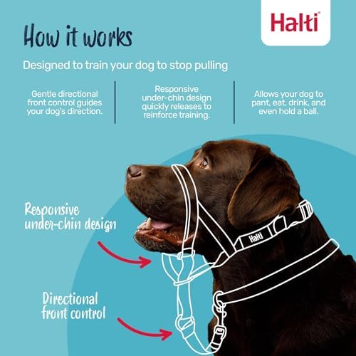Halti Headcollar, Red (Size 3)