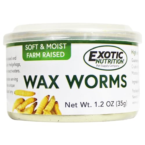 Waxworms enlatados (pacote com 6) - Petiscos saudáveis com alto teor de proteína - Ouriços, planador
