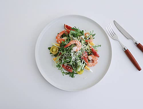 Famiware 10 2 Inch Plates Set, Scratch Resistant thumb #1