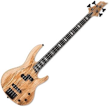 ESP RB-1004SM NATURAL SATIN PJ Type Electric Base