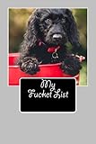 My Fucket List: Blank Lined Journal