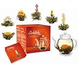Creano Flowering Tea Gift Set - White Tea – 6 Blooming Tea with 17oz Glass Teapot