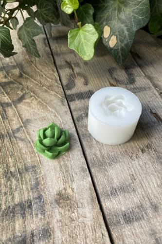 Purpusorum Sukulent Mum Kalıbı, Silikon