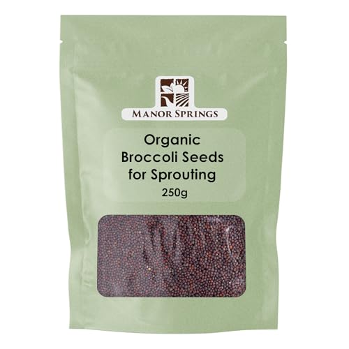 Organic Broccoli Seeds for Sprouting 250g by Manor Springs
