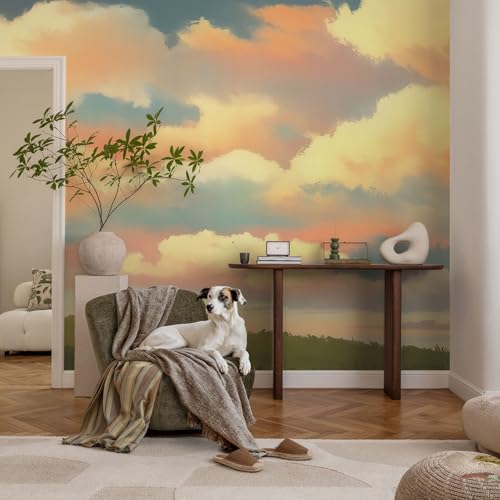 Papier peint adhésif ciel 250x104 cm Tulup panoramique résistant pour salon