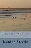 Calm After The Storm