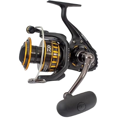 Daiwa BG Saltwater Spinning Reel, Black/Gold