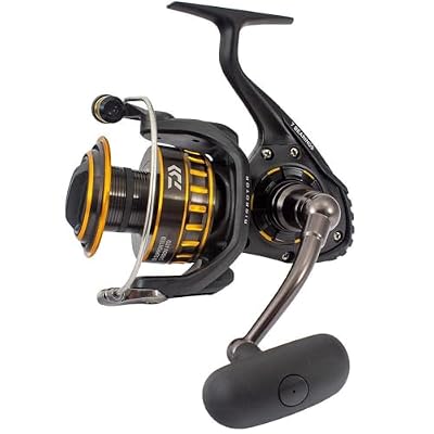 Daiwa BG2500 BG Saltwater Spinning Reel, 2500, 5.6: 1 Gear Ratio, 6+1 Bearings, 33.20 Retrieve Rate, 13.20 lb Max Drag,Black/gold