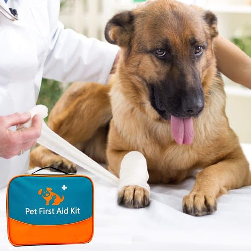 Erste-Hilfe-Set für Haustiere für Hunde, Katzen, Kaninchen und andere Tiere, mit Thermometer, Spritze, Otoskop, perfekt für die Pflege zu Hause und Notfälle auf Reisen im Freien