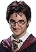 Rubies Costume Co. Inc mens Harry Potter Adult Wig & Tattoo Set Standard