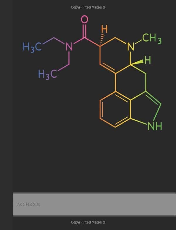 Hexagonal Graph Paper Composition Notebook: Organic Chemistry & Biochemistry Note Book, 1/4 inch hexagons (Science Notebooks Series) Paperback – 21 Jun. 2018