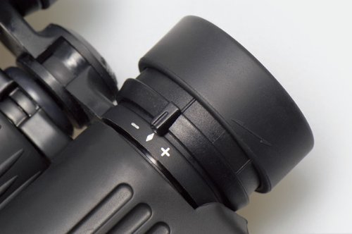 Diopter adjustment ring on binocular eyepiece
