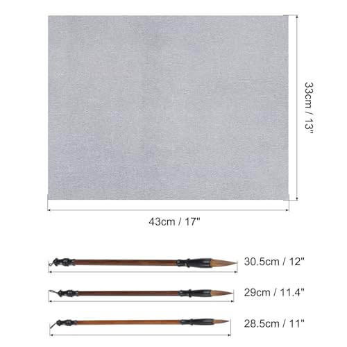 PATIKIL 14pcs Chinese Calligraphy Set, 17x13Inch Reusable Water Writing Cloth Magic Paper Blank Calligraphy Brush No Ink for Beginners Practicing