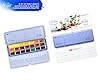 White Nights Artists Watercolors paint set 21 full 2.5ml pans in Metal case by Elena Bazanov Nevskaya Palitra #2