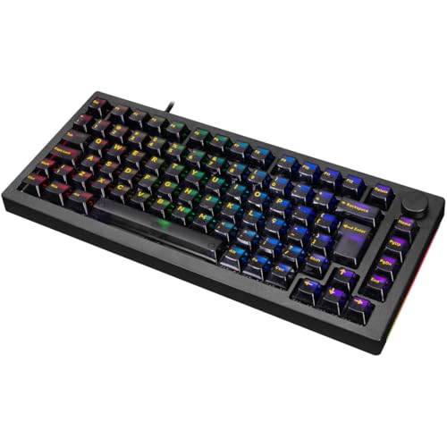 TECLADO AKKO CLEAR BLACK MODELO 5075S ABNT2 PRETO SWITCH CREAM BLUE V3 PRO