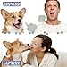 Teeth Cleaning Spray for Pets, 30ml Pet Breath Freshener Spray Care Cleaner, Dog Teeth Cleaning, Cat Teethes Cleaner for Daily Mouth Cleansing, Brush-Free Grooming Solution (1 PCS)