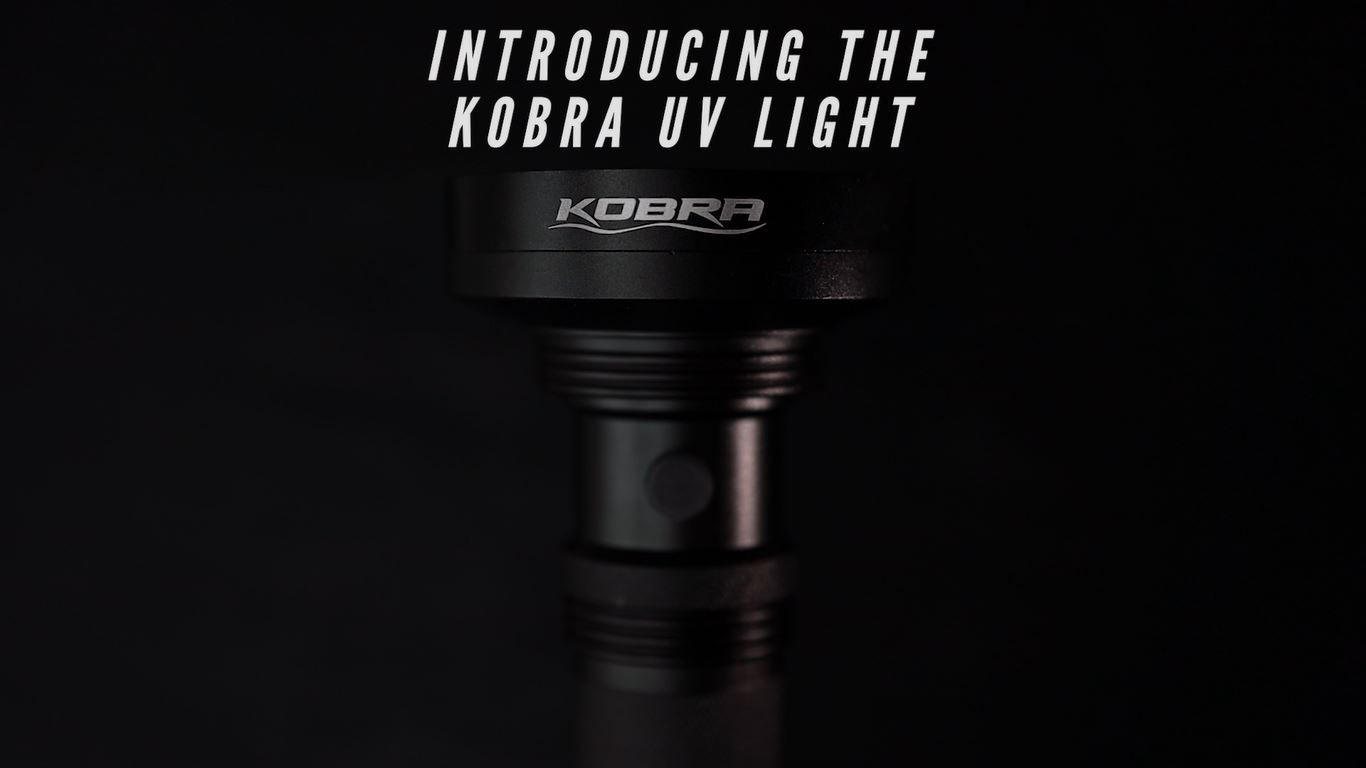 Kobra UV Black Light Flashlight 395nm - 100 LED Portable UV Light & Black Light for Pet Urine Detection - Home or Hotel Bed Bugs, Leaks & Counterfeit Money Inspection - 18W, (Black)