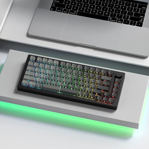 Image of dagaladoo Shine Through keycaps Set,Double Shot PBT keycaps Gradient