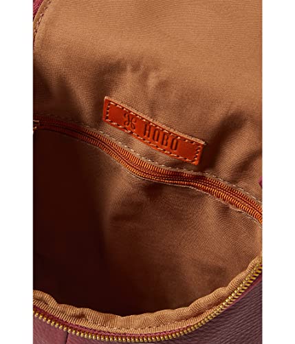 HOBO Farn, Rote Birne, Einheitsgröße