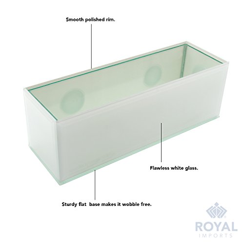 Royal Imports Flower Glass Vase Decorative Centerpiece For Home Or Wedding Oblong Rectangle Shape, 12" Long, 4" Hx4 W Opening, White #TOP3