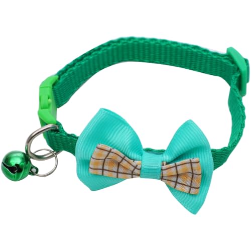 Plus Nao(vXiI) ybgp lR ˂ L Ck  ^ ybgpi obN { t \ 킢 L[g  - O[