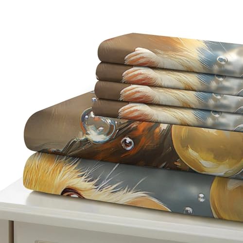 Housse de couette hamster mignon parure lit zippée microfibre anti-glisse