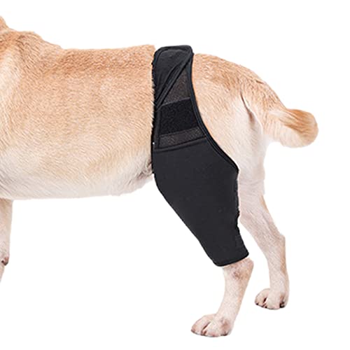 Teksome Hüftbandage für Hunde – Hunde-Kniestütze für schnellere Genesung, Hüftgelenk-Bandage für Kreuzbandrisse, Patella-Luxation, Arthrose, Limping von Gelenkschmerzen, Hüftdysplasie