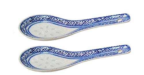 Syndecho Blue and White Porcelain Ceramic Chinese Soup Spoons,Set of 8