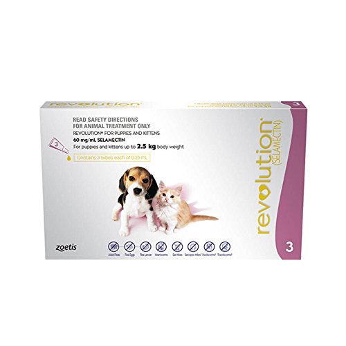 revolution flea control for dogs
