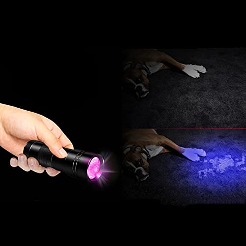 ブラックライト　イリュージョン Amazon.co.jp: daiwasyoukai ブラックライト UV 紫外線ライト