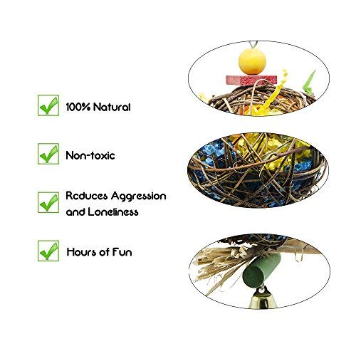 Ebaokuup 2 Pack Bird Chewing Toys Foraging Shredder Toy Parrot Cage Shredder Toy Foraging Hanging Toy For Cockatiel Conure African Grey Amazon #TOP1