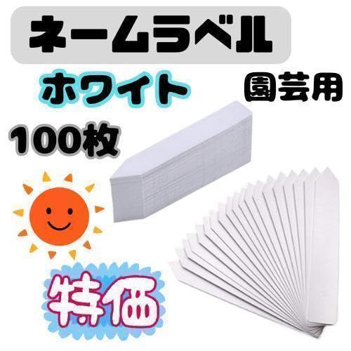 Amazon.co.jp: 190G24 園芸ラベル ネームプレート ガーデニング 多肉