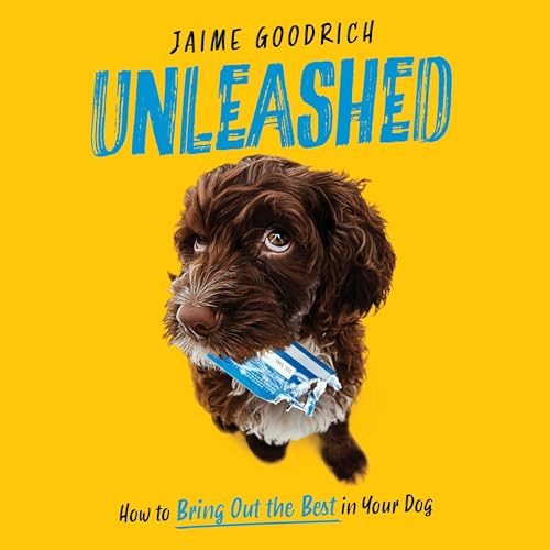 Unleashed cover art