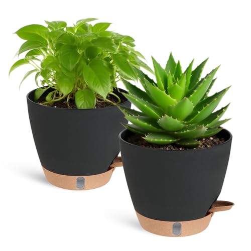 Macetas Plástico Autorriego 2 Piezas – Maceteros Decorativos Interior 20,3×12,7×17,8 cm con Indicador de Agua y Depósito – Macetas Decorativas Interior para Jardín y Balcón (Negro-Marrón)