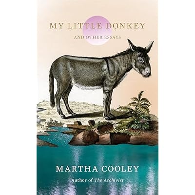 My Little Donkey