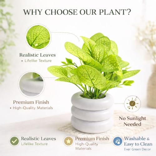 Image of Artificial Mini Potted Plant with Modern White Ceramic Zen Pot - Faux Greenery for Home Decor, Office Desk, Kitchen & Bedside - Realistic Lifelike Leaves, Small Decorative Indoor Plant for Gifting