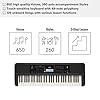 Yamaha PSR-E383 Portable Keyboard for Beginners, 650 Authentic Instrument Voices and Touch-Sensitive Keys with 48-Note Polyphony, Includes 2 Online Lessons with Yamaha Music School Teacher #4