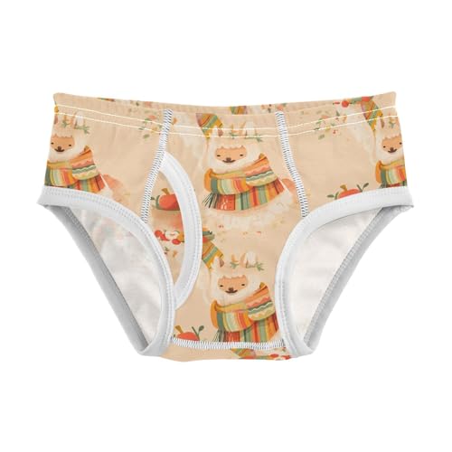 visesunny Boys Potty Training Underwear Alpaca Scarf Fruit Breathe Cotton Briefs Size 2T-8Y for Toddler