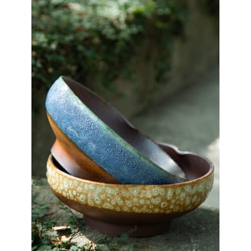 Pot de fleur rond en céramique bleu rétro 25 x 10 cm - 4