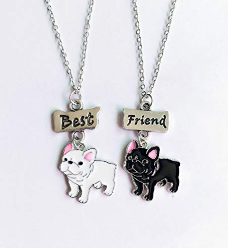 Mummumi Best Friend Necklaces, Friendship Lovely Pet Dogs Pendant Fashion Dogs Set Metal Necklace For Valentine's Day Present Birthday Christmas(Pug,Tidy,Bichon Frise,Schnauzer,Husky) #TOP1