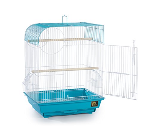 Image of Prevue Pet Products South Beach Flat Top Bird Cage, Teal (SP50061)