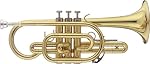 Cornets