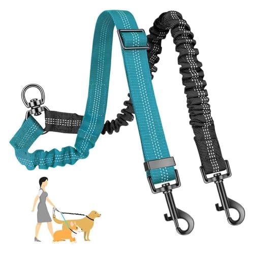 Laisse Double Chien, 1 pièce Laisse Double, Do uble Lais se pour 2 Chiens, Lai SSE Dou ble pour 2 Chiens, Lais se 2 Chie NS, Lais se d'entraînement adaptée aux chie NS de Petite et Moyenne Taille.