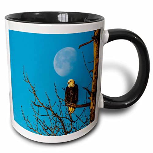 3dRose USA Alaska Bald Eagle Preserve Adult Moon 11oz Two-Tone Black Mug