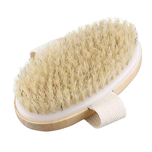 OSALADI Escova corporal seca, cerdas naturais, escova esfoliante de banho para escovação molhada ou