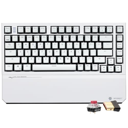 Hexgears X2 75% �L�����J�j�J���L�[�{�[�h Kailh Box Red Switch (�z���C�g�u���b�N)