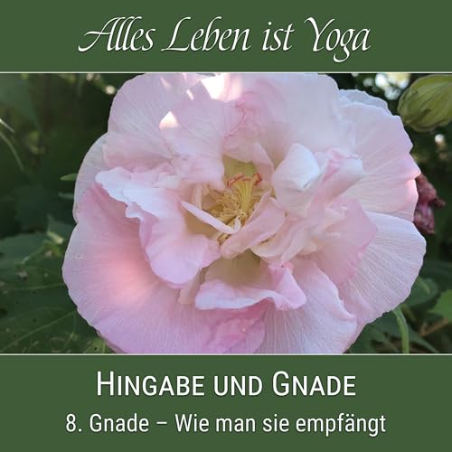 Gnade &ndash; Wie man sie empf&auml;ngt