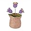 Purple Lily of the Valley