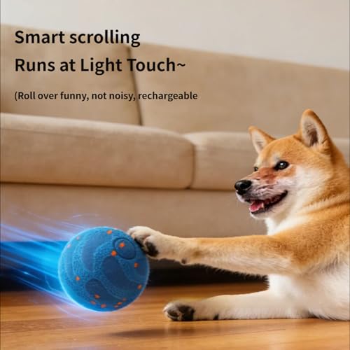 Balle rechargeable ETPU stimulant l'activité des chiens actifs - 4